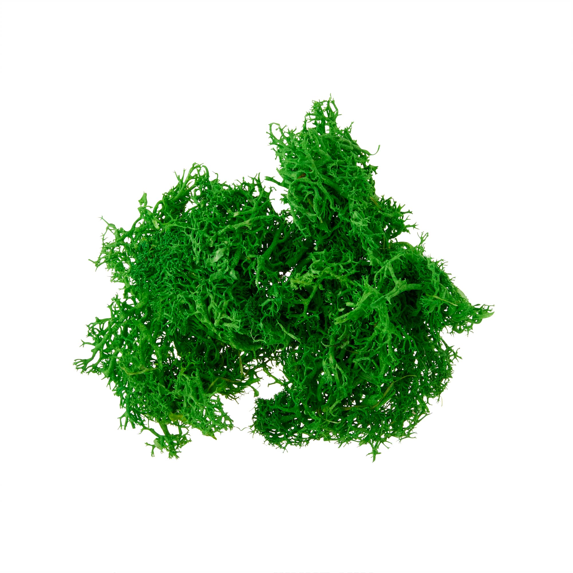 12 Pack: Scenery Plants by Make Market®
